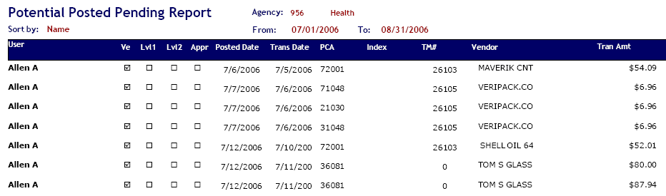 Report PDF example