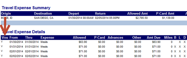 the letter v highlighted next to line item expenses